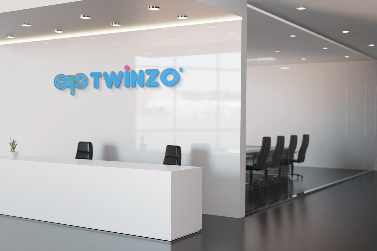 Logo Design: TWINZO